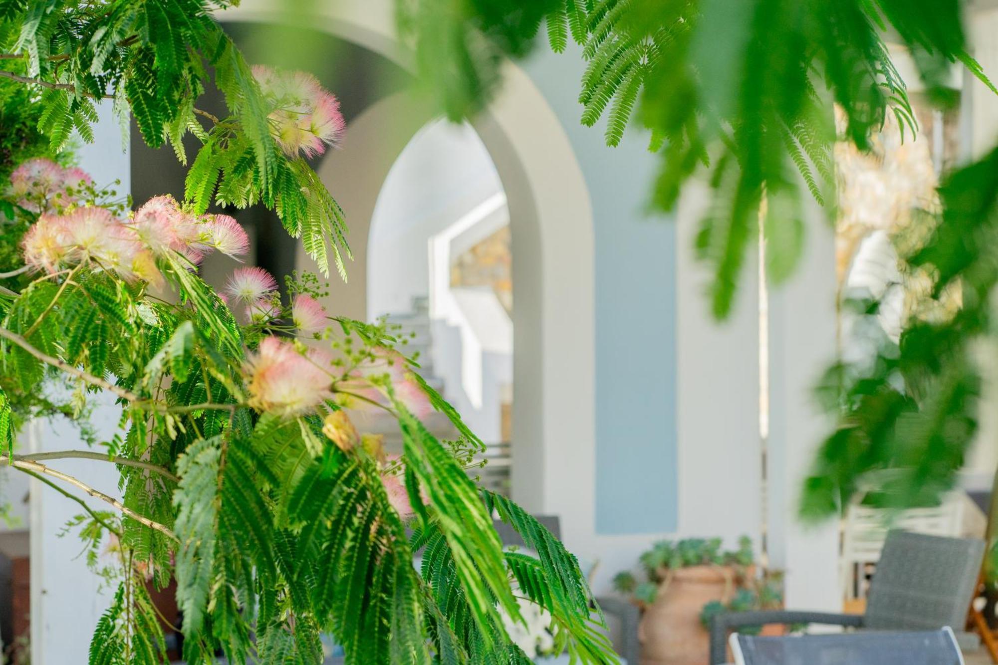 Villa Acacia ปอนซา ภายนอก รูปภาพ