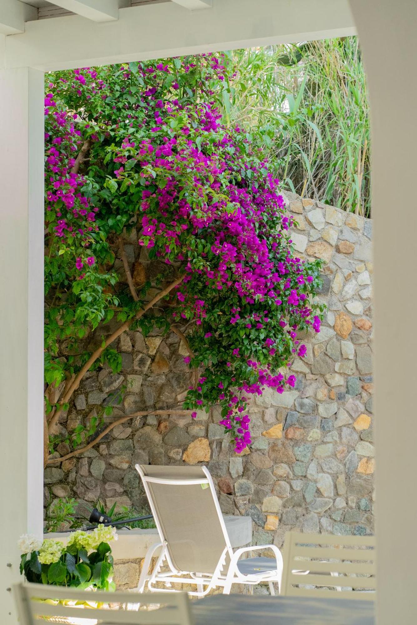 Villa Acacia ปอนซา ภายนอก รูปภาพ