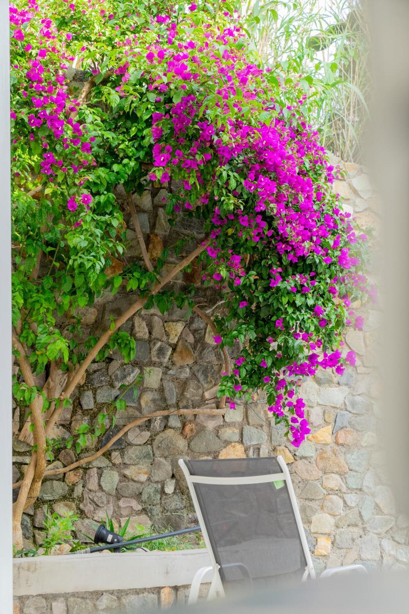 Villa Acacia ปอนซา ภายนอก รูปภาพ