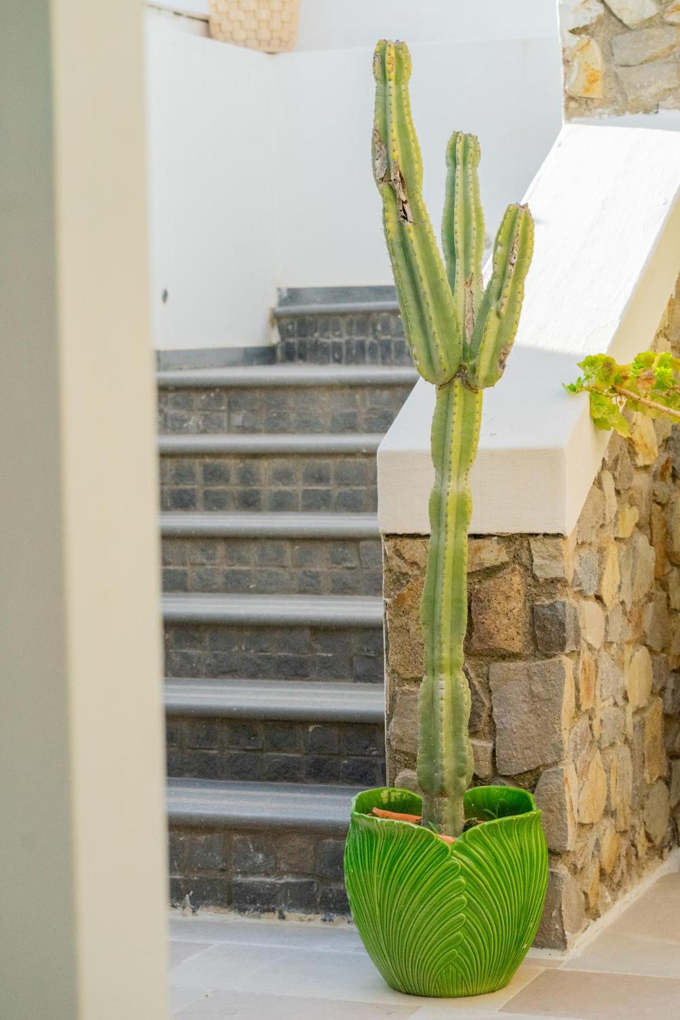 Villa Acacia ปอนซา ภายนอก รูปภาพ