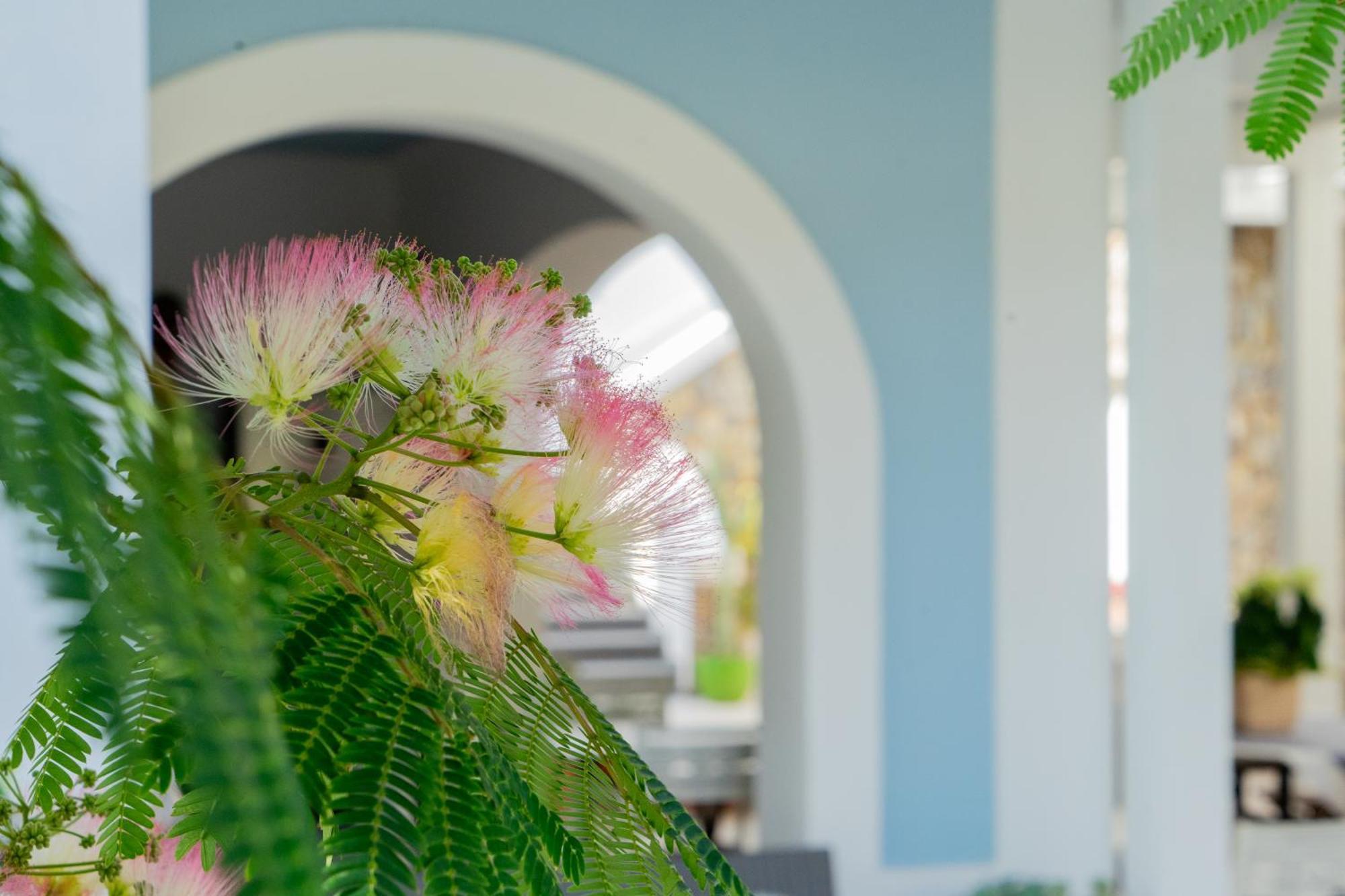 Villa Acacia ปอนซา ภายนอก รูปภาพ